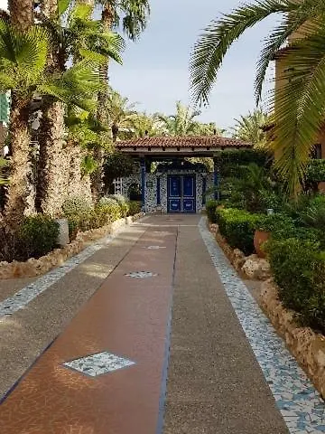 Martina * טורבייחה